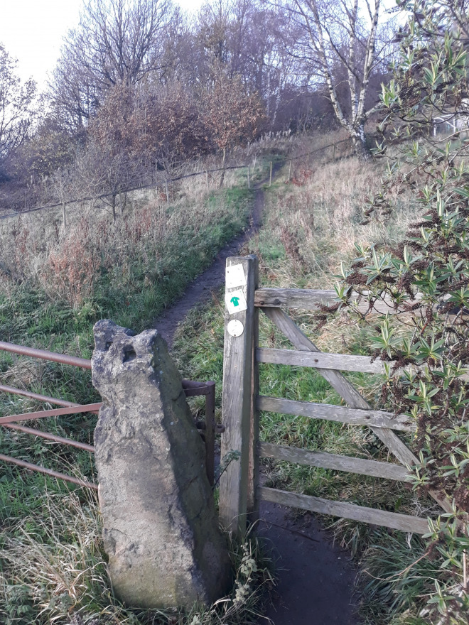 The Bridle From Near Bank