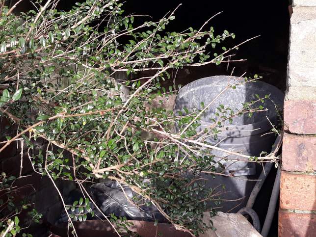 Hole in the Wall leading to the Well