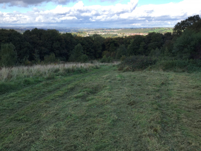 Healey Greave Meadow