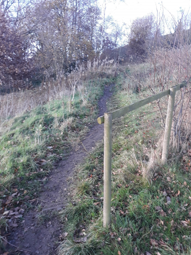 The Bridle Towards Far Bank